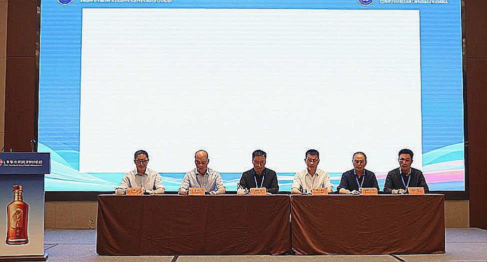 LOUD vô địch VALORANT Champions 2026 lần thứ hai và bài toán đo lường khán giả
